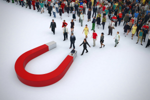 Желающим привлечь трафик